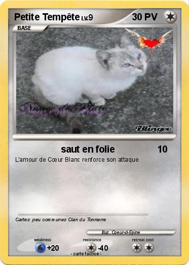 Pokemon Petite Tempête