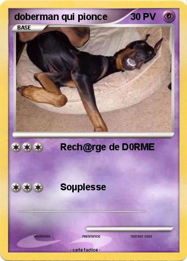 Pokemon doberman qui pionce