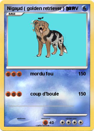 Pokemon Nigaµd ( golden retriever ) gdw
