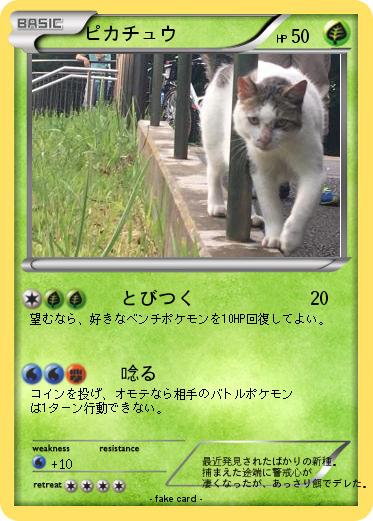 Pokemon ピカチュウ