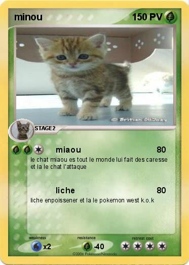 Pokemon minou