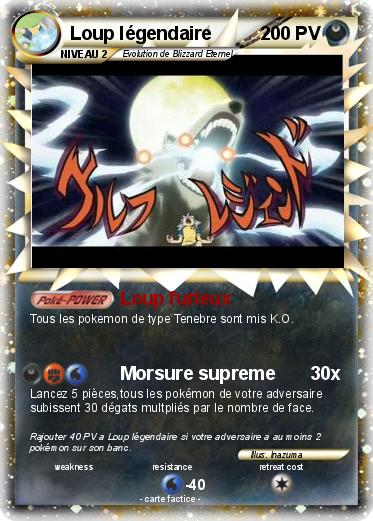Pokemon Loup légendaire