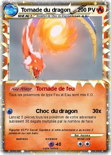 Pokemon Tornade du dragon