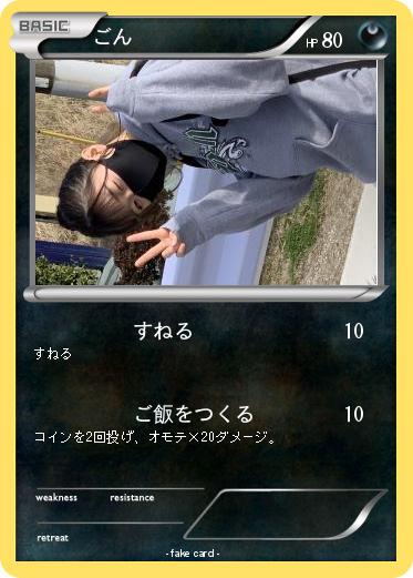Pokemon ごん