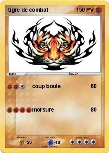 Pokemon tigre de combat