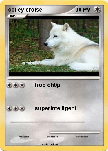 Pokemon colley croisé