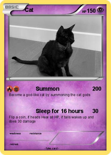 Pokemon Cat