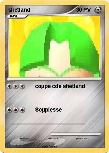 Pokemon shetland