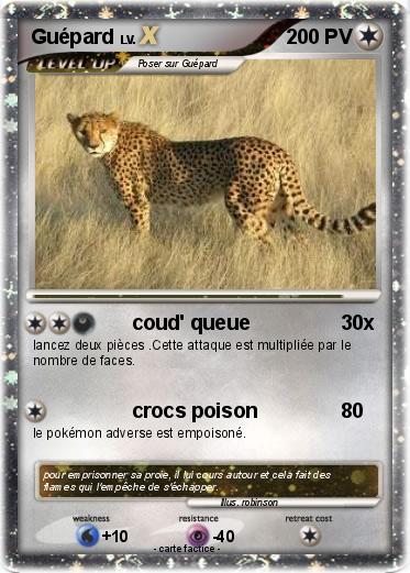 Pokemon Guépard