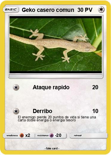 Pokemon Geko casero comun