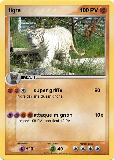 Pokemon tigre