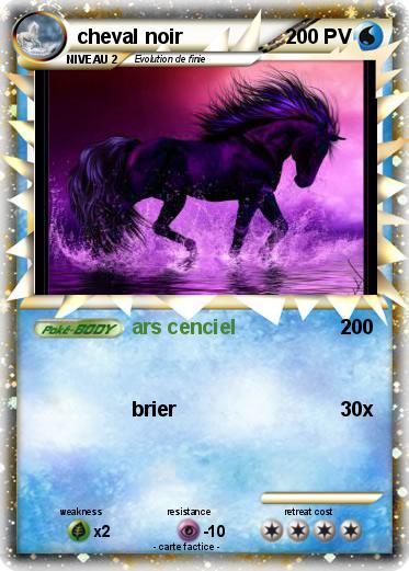Pokemon cheval noir