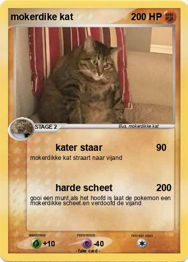 Pokemon mokerdike kat