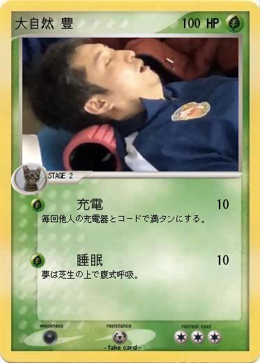 Pokemon 大自然 豊