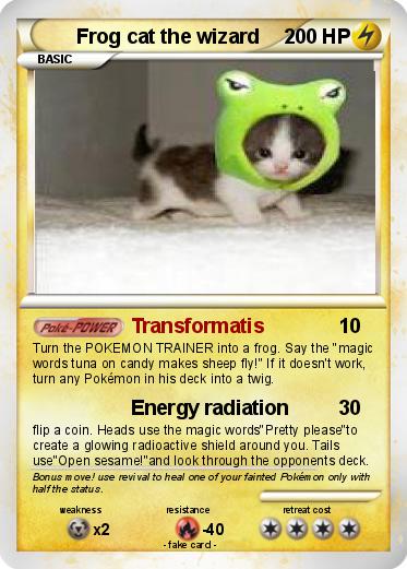Pokemon Frog cat the wizard