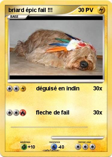 Pokemon briard épic fail !!!