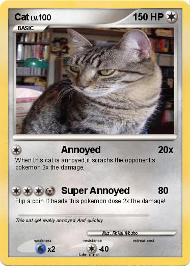 Pokemon Cat