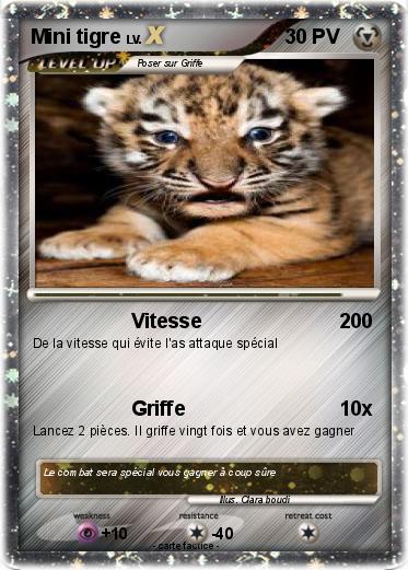 Pokemon Mini tigre