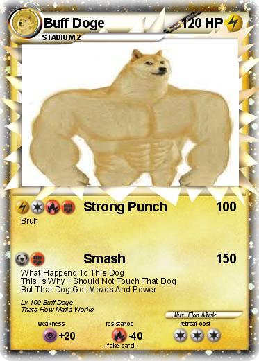 Pokemon Buff Doge