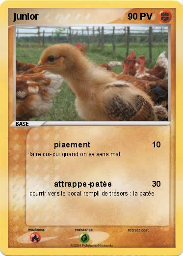 Pokemon junior