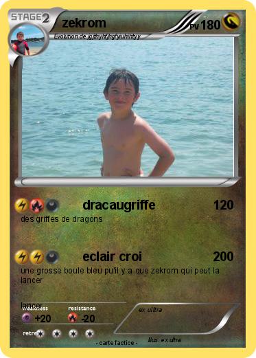 Pokemon zekrom