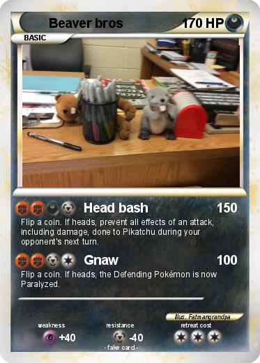 Pokemon Beaver bros