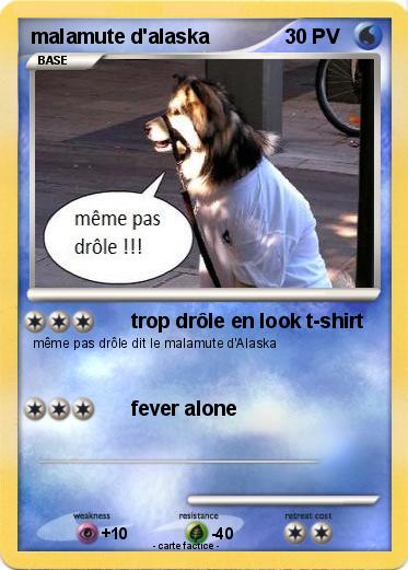 Pokemon malamute d'alaska