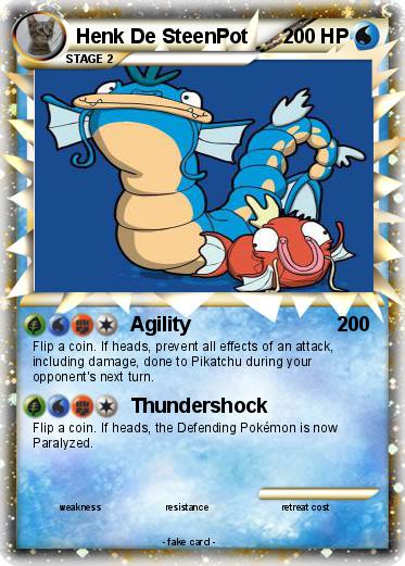 Pokemon Henk De SteenPot