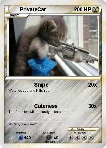 Pokemon PrivateCat