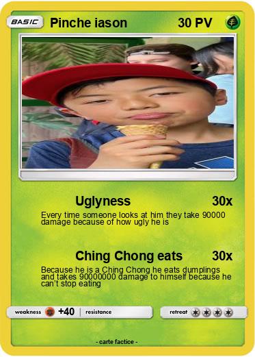 Pokemon Pinche iason