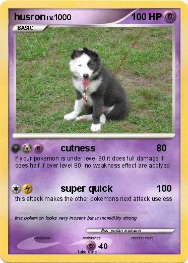 Pokemon husron