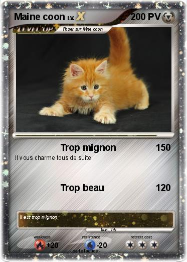 Pokemon Maine coon