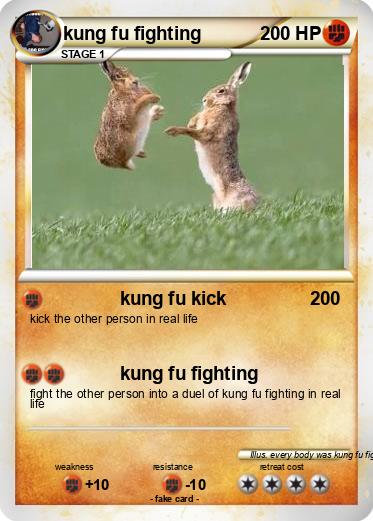 Pokemon kung fu fighting