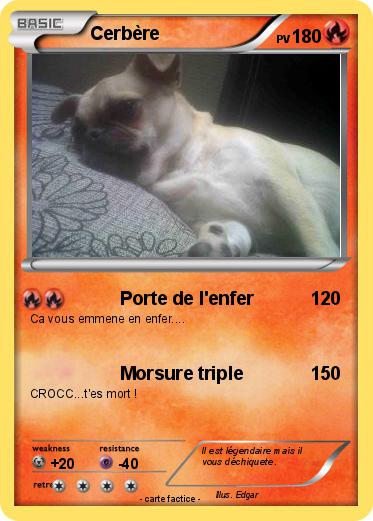 Pokemon Cerbère