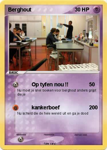 Pokemon Berghout