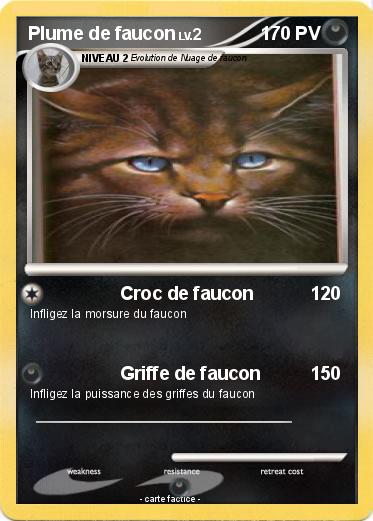 Pokemon Plume de faucon