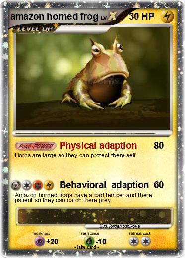 Pokemon amazon horned frog