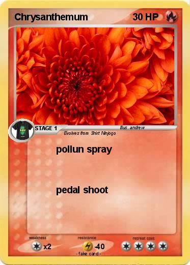 Pokemon Chrysanthemum