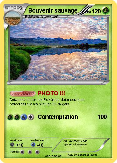 Pokemon Souvenir sauvage