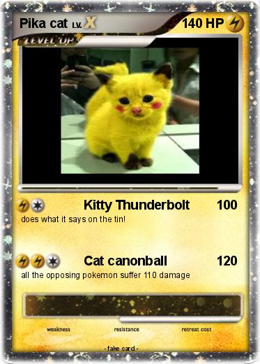 Pokemon Pika cat