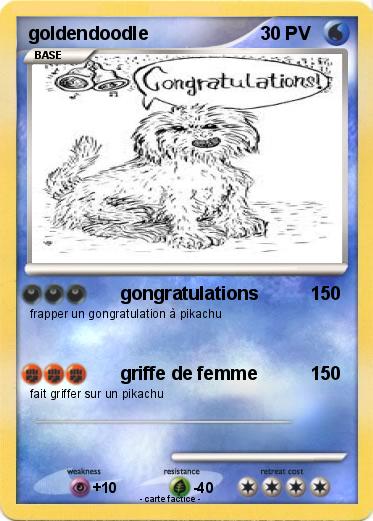 Pokemon goldendoodle