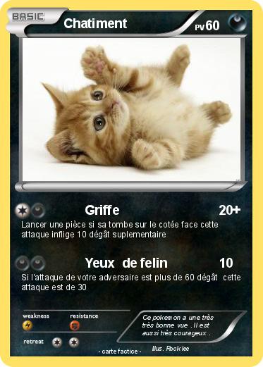 Pokemon Chatiment