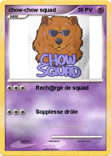 Pokemon chow-chow squad