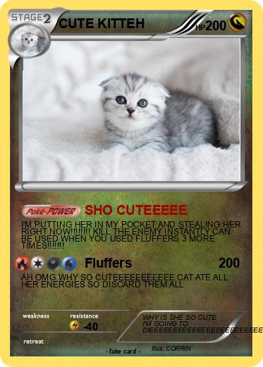 Pokemon CUTE KITTEH