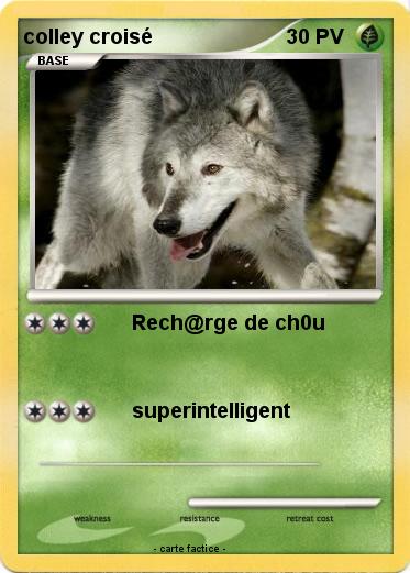 Pokemon colley croisé