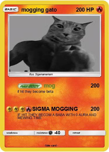 Pokemon mogging gato