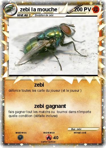 Pokemon zebi la mouche