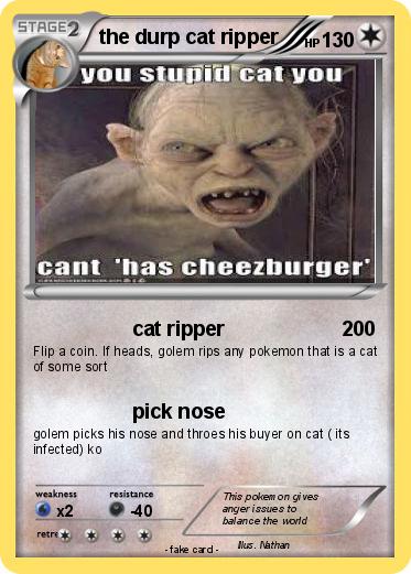 Pokemon the durp cat ripper