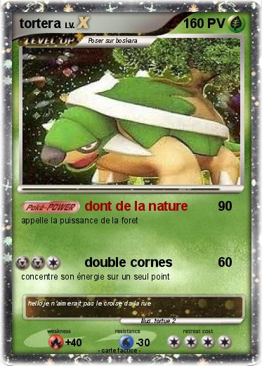 Pokemon tortera