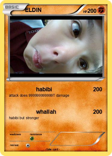 Pokemon ELDIN
